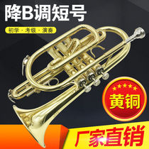 B-flat B-flat cornet trumpet brass instrument professional-grade cornet