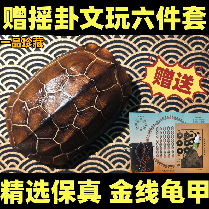 Natural, Intact, Genuine Gold-Laced Turtle Shell for Divination, Turtle Shell for Fortune-Telling, Hand-Held Ornament, Living Room Home Decoration