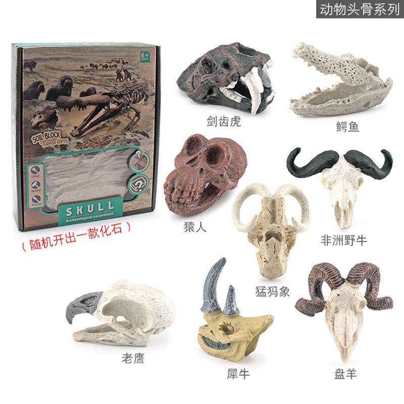 New Cross-Border Children's Realistic Archaeological Excavation Animal and Plant Fossil Models: Cycad, Pterosaur, Crocodile Head, Tyrannosaurus Skeleton