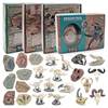 New Cross-Border Children's Realistic Archaeological Excavation Animal and Plant Fossil Models: Cycad, Pterosaur, Crocodile Head, Tyrannosaurus Skeleton
