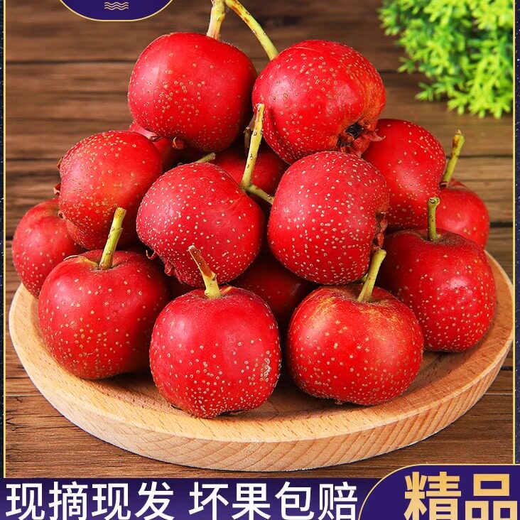 河北水果批发