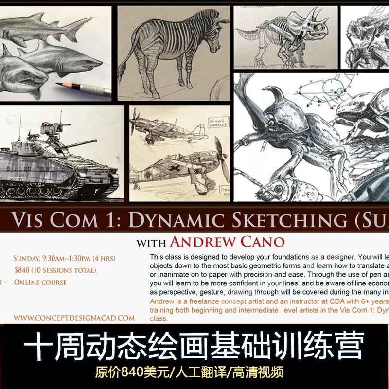 Ten-Week Dynamic Drawing Basics Course: Line Drawing, Perspective, Insects, Tanks, Hard Surfaces - Andrew Cano