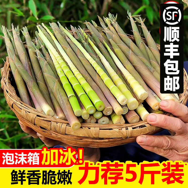 【顺丰包邮】野生小竹笋新鲜现挖带壳5斤竹笋手剥小春笋脆嫩笋尖,尝鲜就趁现在!-竹笋-淘宝好物网