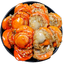 Spicy Garlic Canned Scallops Large Canned Seafood Delicatessen Ready-to-Eat Canned Sauce for Meal Snacks