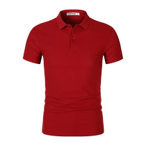 Lapel work clothes T-shirt polo shirt administrative sales educational institution group work clothes short-sleeved embroidered logo customization