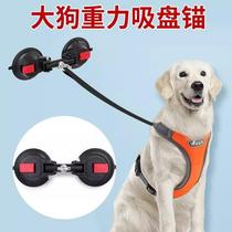Dog fixed dog bath traction rope and sucking dog sucker large dog pull force to pull 80 kg wall stake
