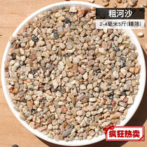 Yixiang natural coarse sand succulent paving stone with soil fine sand particles planting fish tank landscaping bottom sand