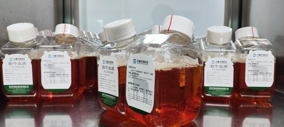 特级胎牛血清（干细胞原代细胞培养，免费试样、量大从优，）