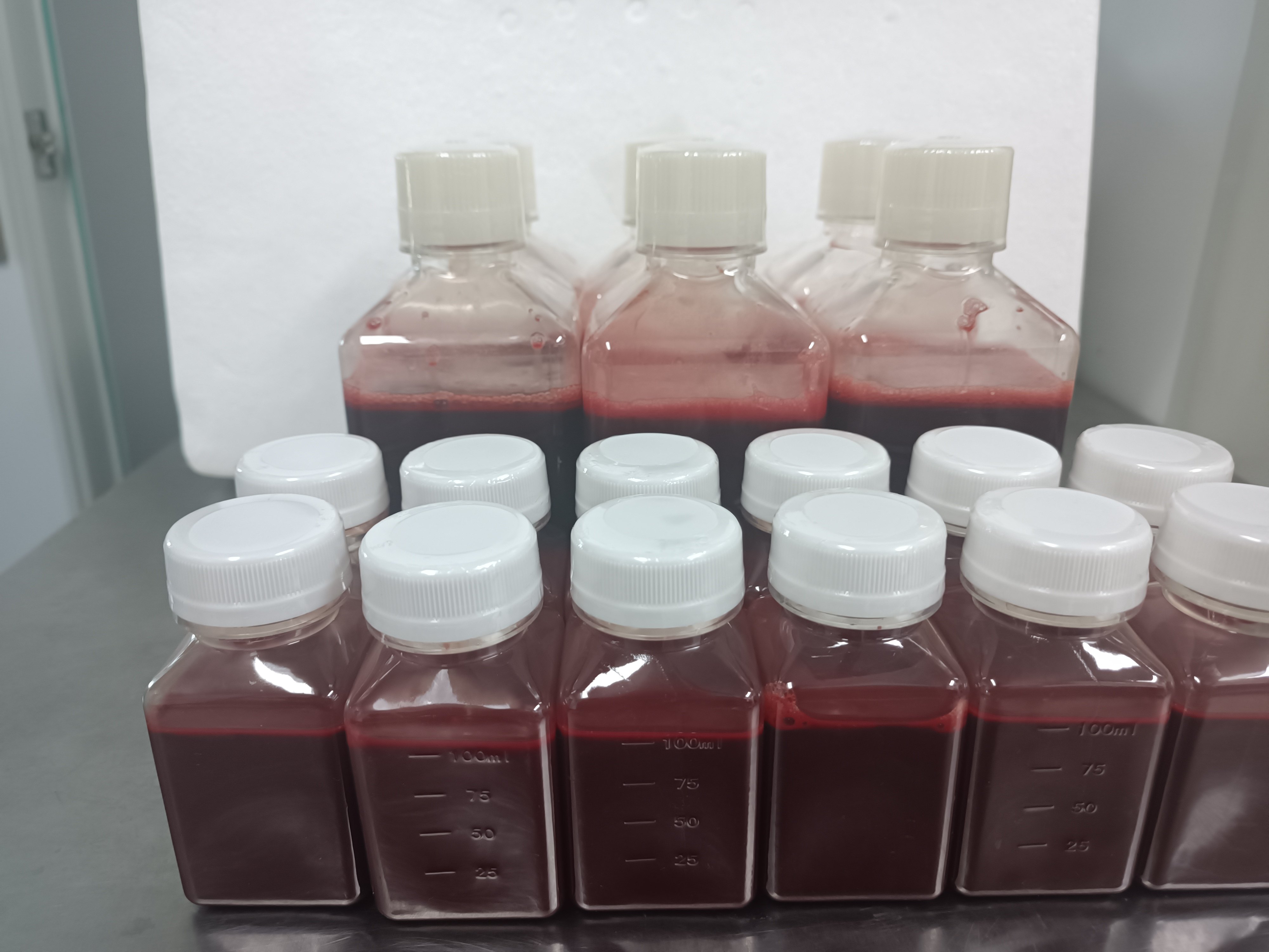 抗凝鼠全血（生物试剂，实验专用，新鲜采集，订制）