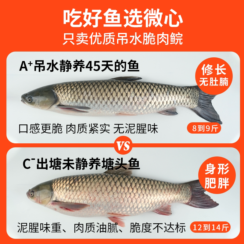 脆皖鱼：鲜美脆嫩，一口难忘的美味盛宴！-淡水鱼类-淘宝好物网