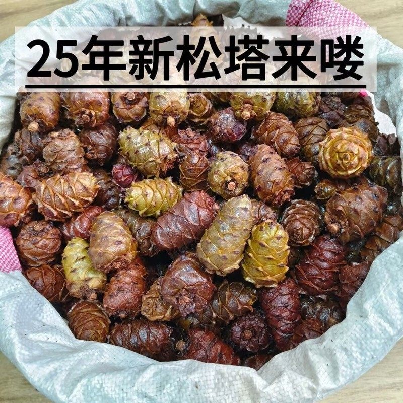 Wild Pine Cones from Daxinganling, Salted and Boiled, Small Pine Cones, No Additives, Salty Pine Cones, Heilongjiang Pine Cones