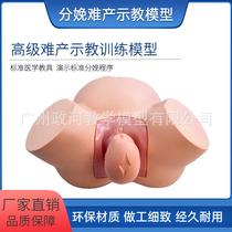 Zhenghe advanced dystocia teaching and training model pregnant woman dystocia model midwifery delivery dystocia simulation medical model