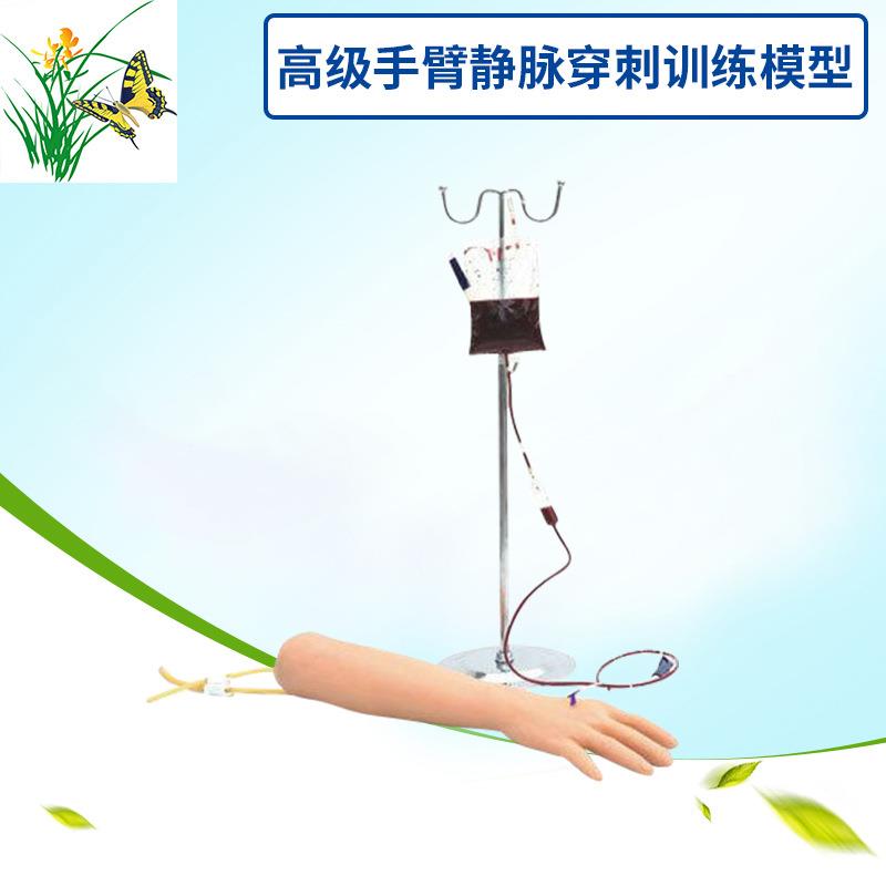 动静脉穿刺输液肌肉注射训练手臂模型护士练习留置针打针抽血模具