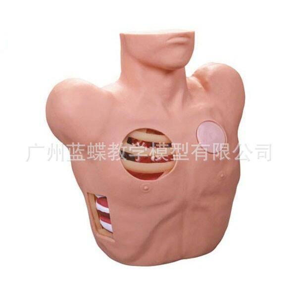 L66胸腔穿刺引流模型 胸腔穿刺模型 气胸液胸闭式处理模型