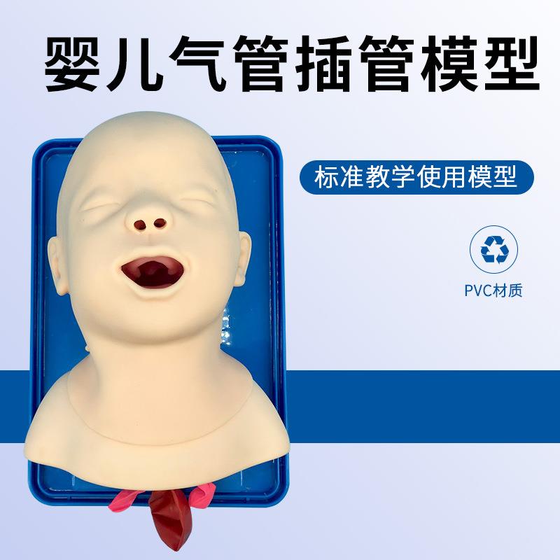 全功能婴儿气管插管训练模型 婴儿急救护理模拟人 有会厌声带