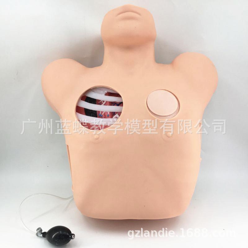 胸腔穿刺引流模型 胸腔穿刺模型 气胸液胸闭式处理模型