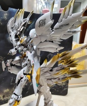 MG card free card hair loss (Bai Xueji) SF Express collect