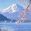 椛王海外代购品牌店