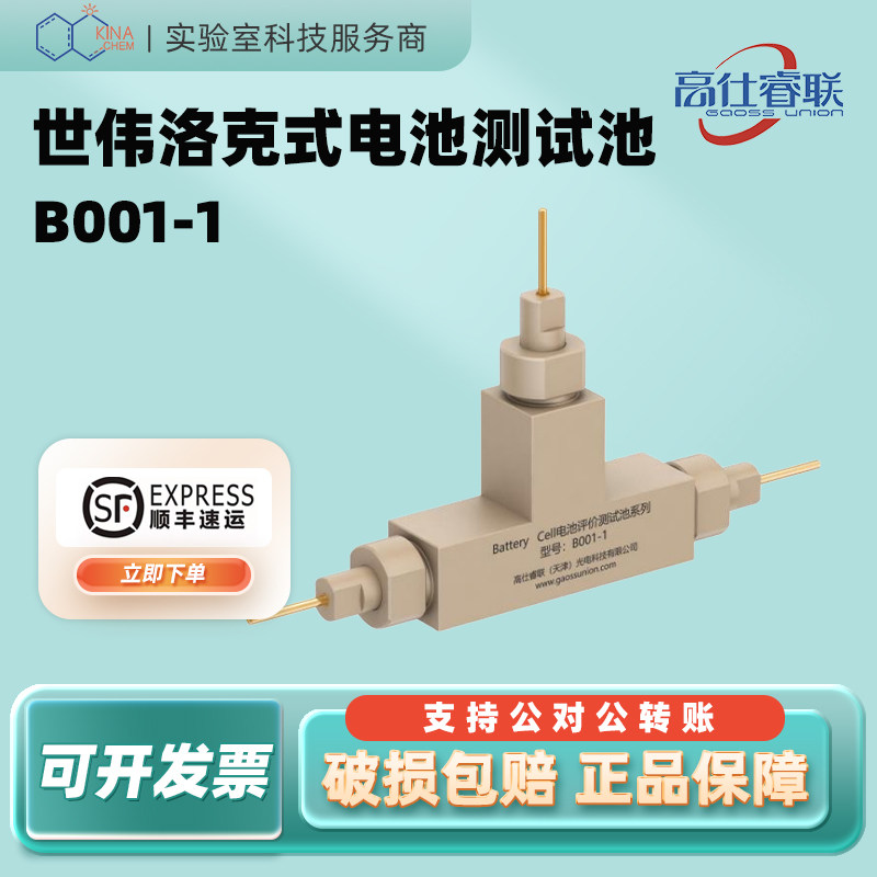 高仕睿联世伟洛克式电池测试池B001-1/B001-2三电极体系功能池