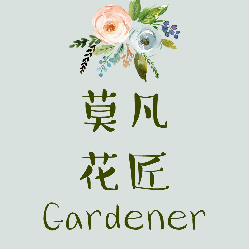 莫凡花匠