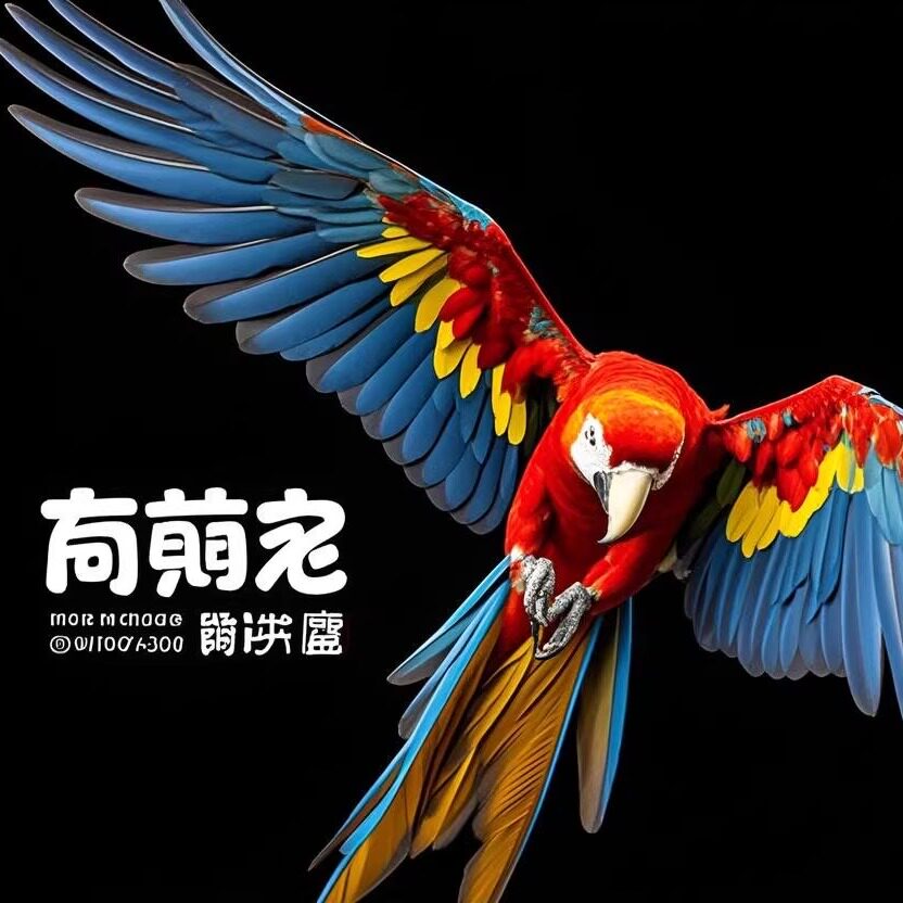 淘萌宠鹦鹉用品店
