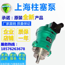 Sales Jiangsu Hengyuan Hydraulic Equipment Co. Ltd. 63MYCY14-1B80MYCY14-1B axial plunger
