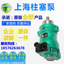 Sales Qidong Hongda high-pressure oil pump 63MYCY14-1B80MYCY14-1B axial plunger pump
