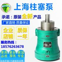 Shanghai Shenfu Shanghai high pressure axial piston oil pump 5MCY14-1B 5MCY14-1B D BF