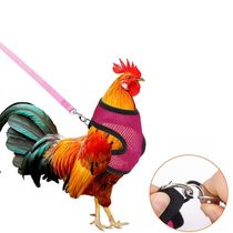 Chicken leash clothing training belt pet leash chicken duck goose leash breathable chicken chest strap for outdoor use