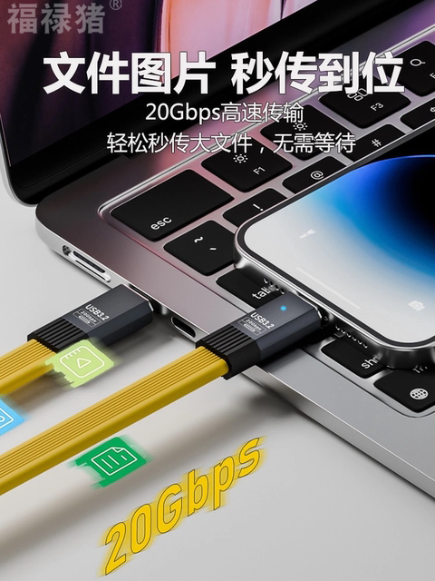 Fulu Pig Thunderbolt 5 Data Cable 80/120Gbps Full-Featured Dual-Head Type-C Video Cable Pd240W Fast Charging Laptop to Graphics Card Docking Station Monitor Usb-C One-Line Connection