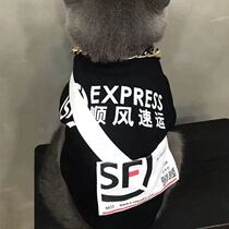 Meituan SF cat and dog clothes spring and summer thin section funny French fighting corgi Teddy BOY small pet clothes