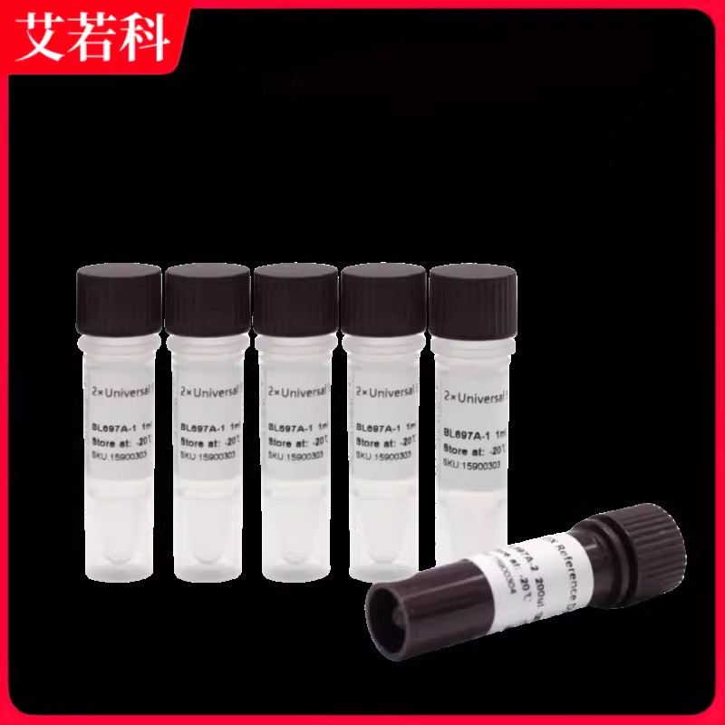 通用荧光定量PCR试剂盒通用SYBR qPCR Master Mix (5*1mL) BL697A