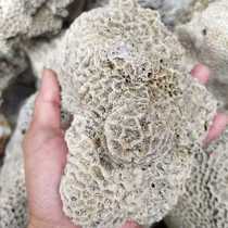 Натуральный коралловый камень мертвый камень коралловая кость ландшафтный дизайн аквариум с морской водой три озерных цихлид ландшафтный фильтрующий материал быстрое открытие резервуара