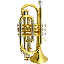 Golden sound short instrument small number lacquered gold B-tone professional pipe instrument JYCO-E100 short number gold
