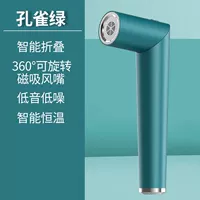 Peacock Green-Supreme Собирает модель