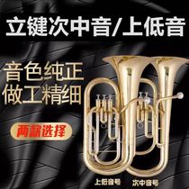 2023 new product Bach B flat key tenor euphonium trumpet 300mm large instrument