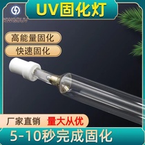UV curing lamp UV ultraviolet lamp high pressure mercury lamp shadowless glue ink drying lamp mercury lamp 1-20kw