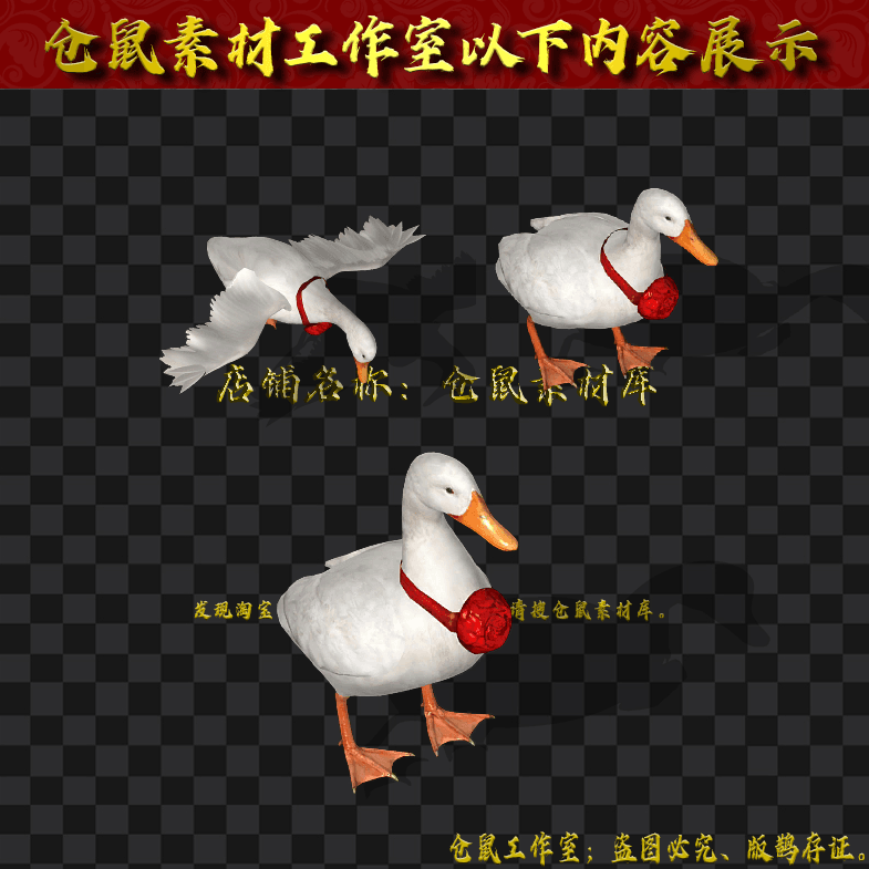 GW2024923-1-大白鹅