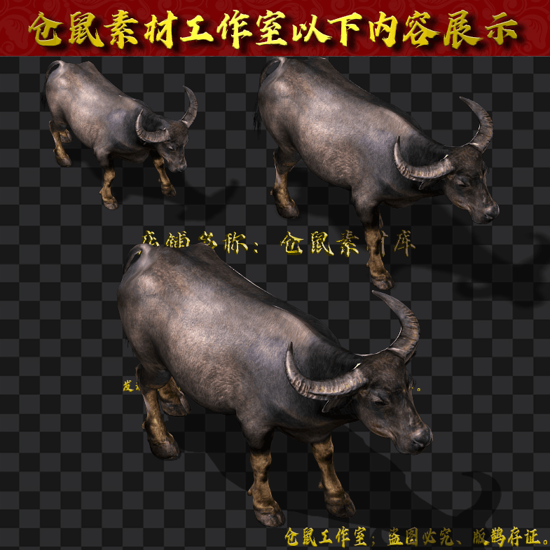 GW2024923-2-大水牛