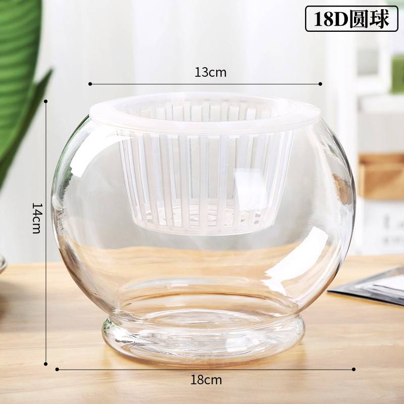 Hydroponic plant Planting Basket glass transparent vase Green Rovia with water nourishing container Flower Pots Round Spherical Fish Tank Thicken-Taobao