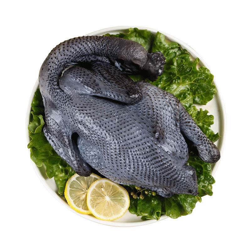 泰和乌鸡新鲜现杀正宗乌骨鸡