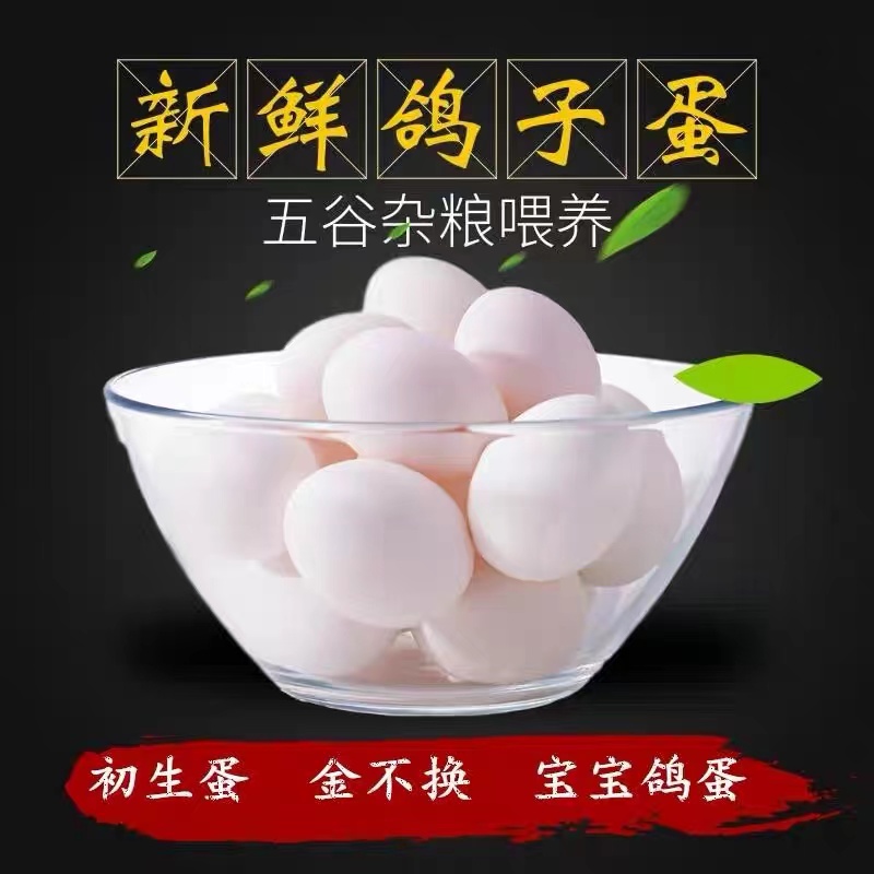 鲜嫩鸽子蛋：从农场直达餐桌的营养新宠