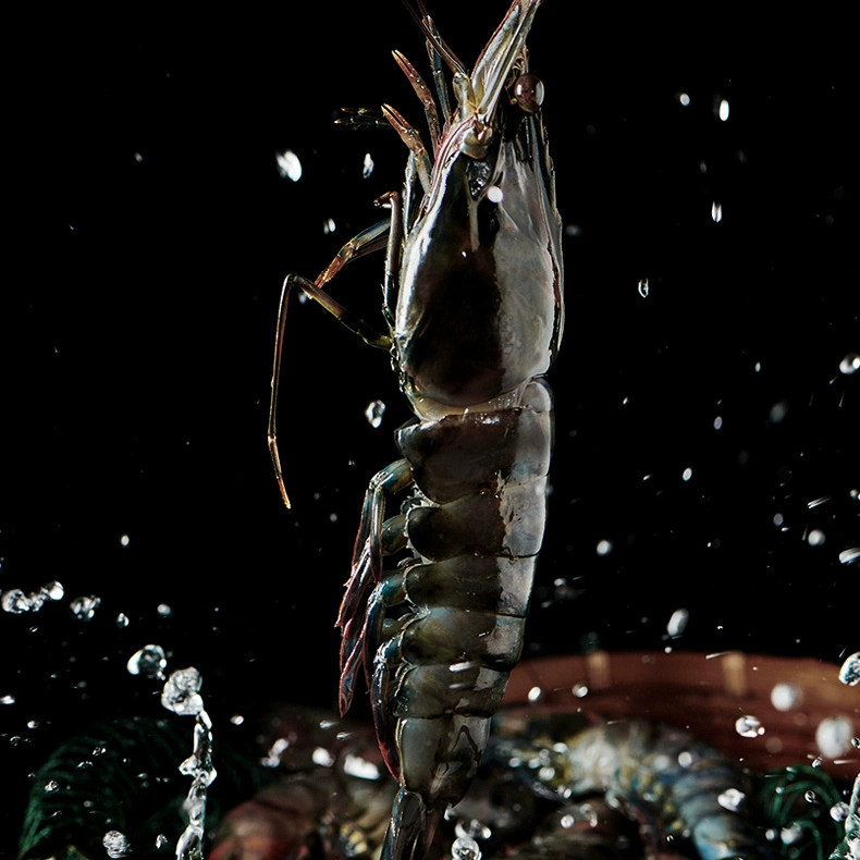 ⚠️辟谣！黑虎虾致癌？真相大揭秘，建议收藏！