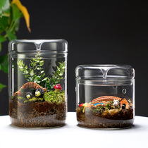 Micro landscape glass cover ecological moss plant office creative micro potted bonsai glass mini dew cup