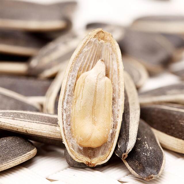 Zhenglin Sunflower Seeds Nuts and Snacks New Year's Goods 3A99+1 Sunflower Seeds 250g Leisure Snacks