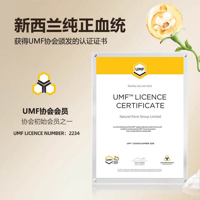 Dnz Manuka Honey, Pure Natural Honey Imported from New Zealand, Is a Great Gift for the Holidays