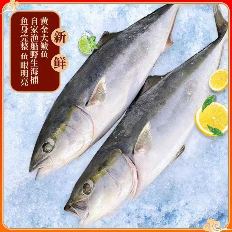 黄狮鱼:海洋里的神秘艺术家,你知道它们的色彩魔法吗?-生活-淘宝百科网