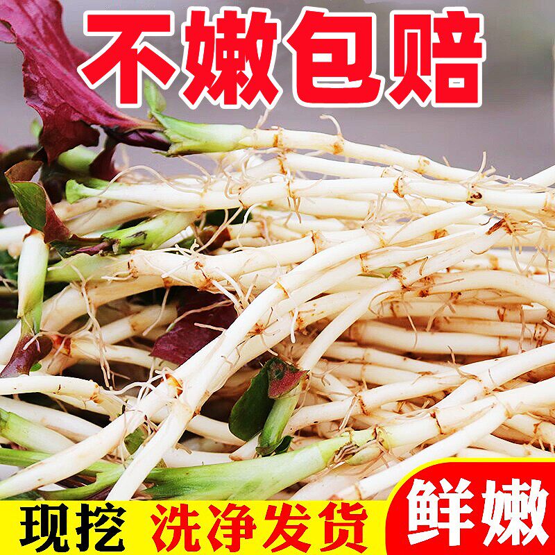 Fold Ear Root Fresh Houtout Houti Pig Nostrils When Season Wild Vegetables Tender Shoots Tender Root Leaf Guizhou to cool and mix down the rice dish ready-to-eat-Taobao