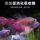 Рыба-ангел - специальный корм для рыб, без мутной воды, без еды, возвращайся! mini 2