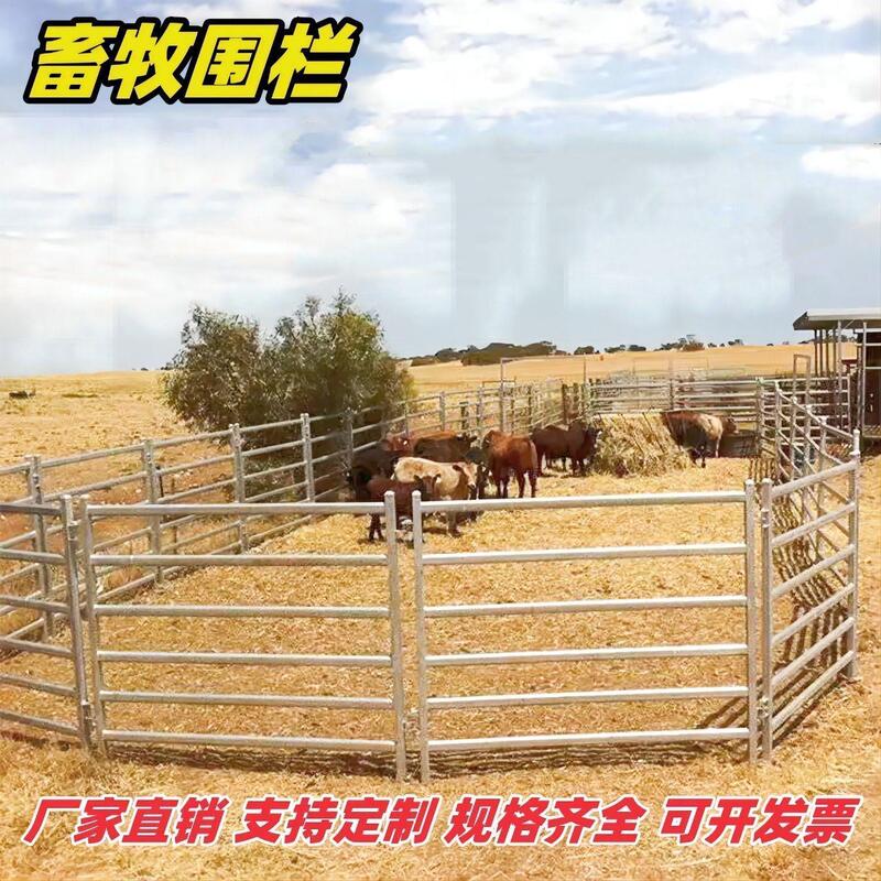 Equestrian Track Movable Fences, Mobile Horse Farms, Cattle Farms, Guardrails, Grassland Pastures, Sheep Pens, Isolation Fences Equestrian Track Movable Fences, Mobile Horse Farms, Cattle Farms, Guardrails, Grassland Pastures, Sheep Pens, Isolation Fences